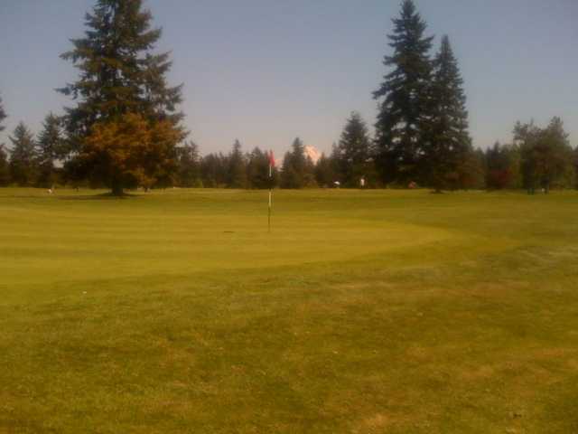 A sunny view of green at Brookdale Golf Club
