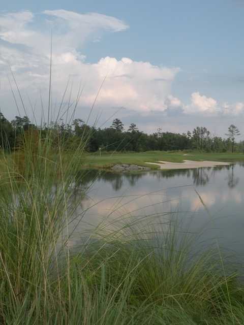 Cape Fear National at Brunswick Forest - 16 Green