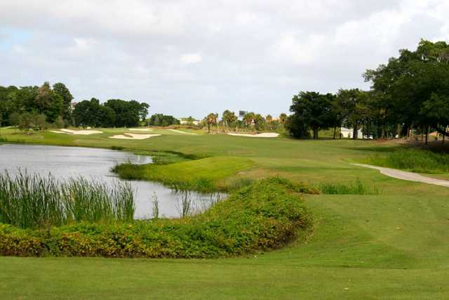 A view of the 1st hole at Davie Golf & Country Club