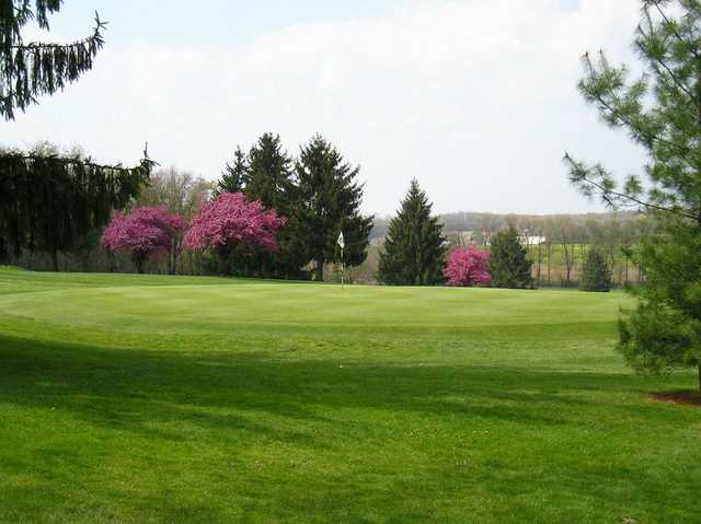 A view of a green protected by spring blossom trees at Conley Resort