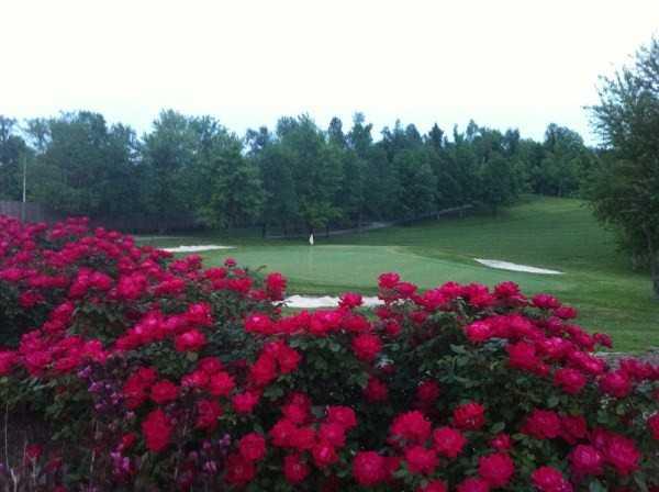 A view of a hole protected by bunkers with beautiful roses in foreground at Lafayette Golf Club