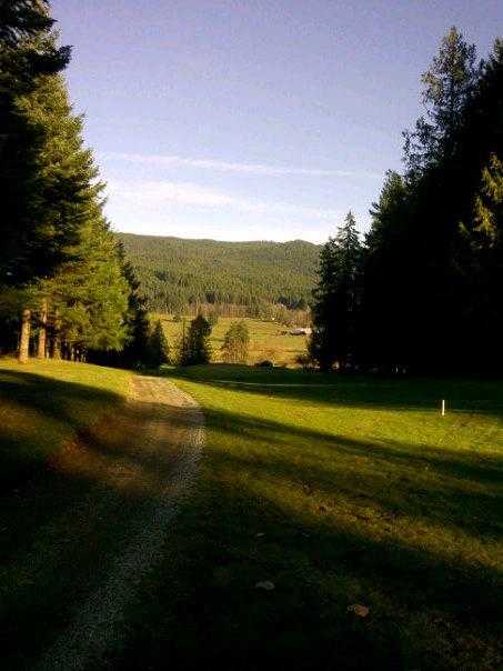 A view from Alberni Golf Club