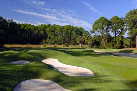 Heron Point #9