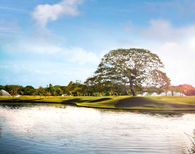 A sunny view over the water from Buenaventura Golf Club