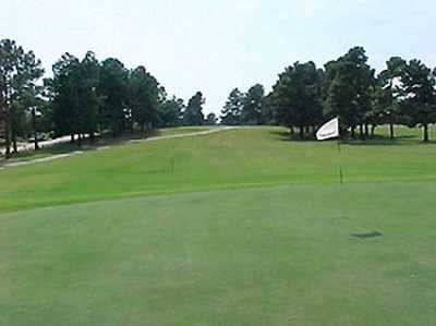 A view of the 3rd hole at Orgill Golf Course