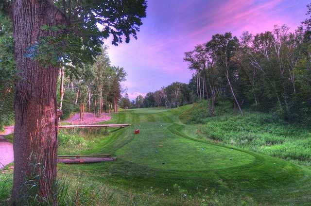 A view of tee #4 at Loggers Trail Golf Club