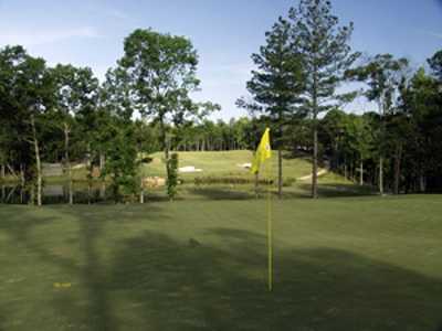 A view of a green from Arrowhead Pointe At Lake Richard B. Russell