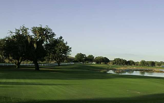 A view from Meadow Oaks Golf & Country Club