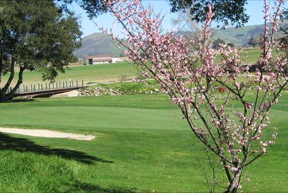 A spring view of a hole with bridge on the left side at The Club at Crazy Horse Ranch