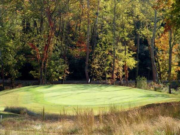A view of the 9th green from Williams Creek Golf Course