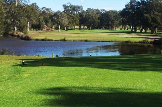 A view from tee #17 at Toukley Golf Club