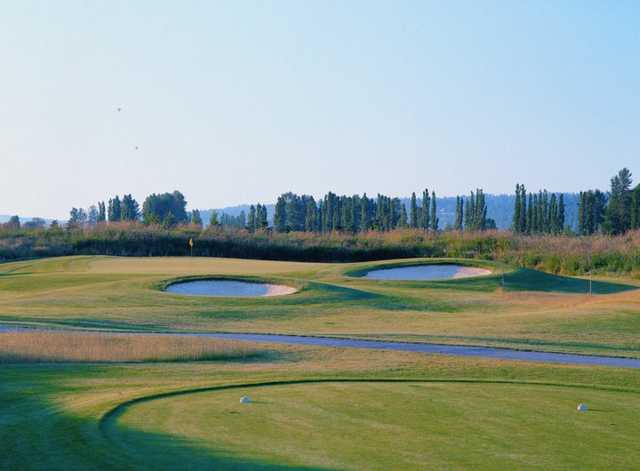 A view from a tee at Coyote Creek Course from Willows Run Golf Club