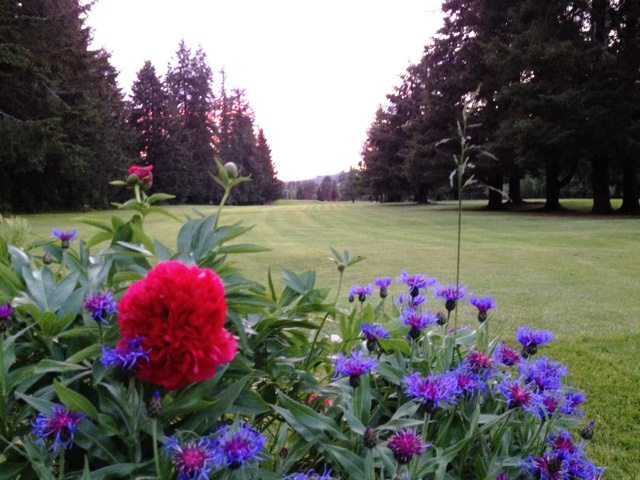 A view from Vernonia Golf Club