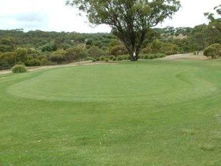 A view of the 11th green at Thaxted Park Golf Club