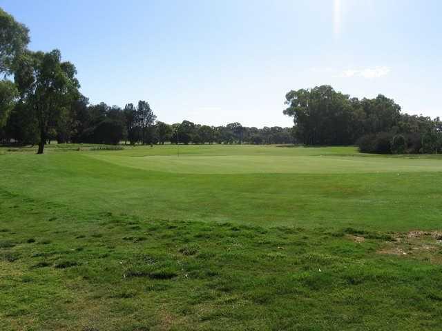 A view of green at Eastern Sward Golf Club