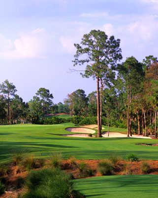 Calusa Pines Golf Club - Reviews & Course Info | GolfNow