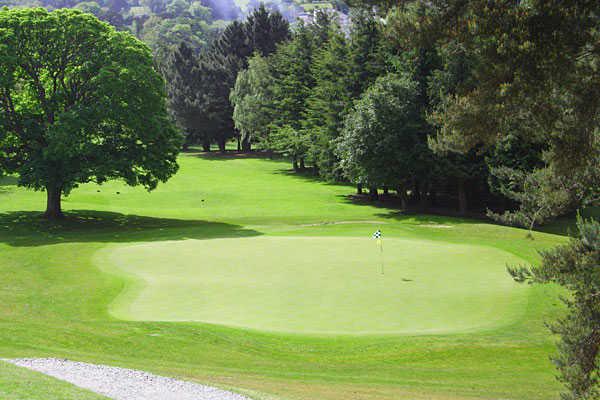 A view of the 5th green at Delgany Golf Club