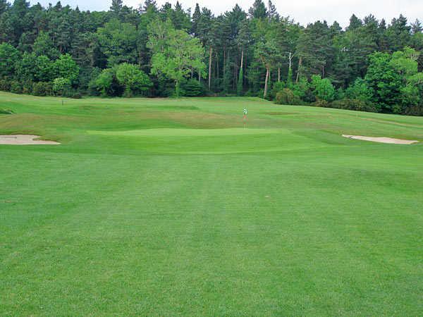 A view of hole #14 at Delgany Golf Club