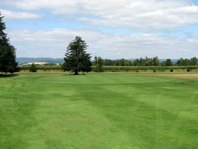 A view from Sunset Grove Golf Course