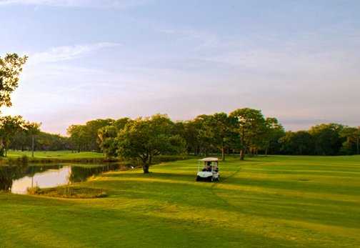 A view from Turtle Creek Golf Club