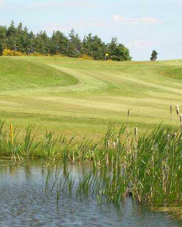 A view over the pond of the 7th hole at Forrester Park Resort