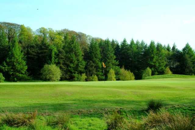 Superb greens and beautiful trees surrounding the course at Bishopbriggs