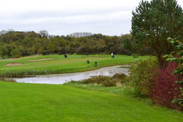 A view from tee #12 at Hamilton Course from Blackwood Golf Centre