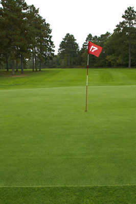 A view of the 17th green at Fair Havens Golf Course