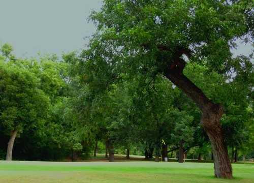 A view of the 15th green at San Saba River Golf Course