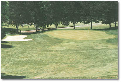 Eastmoreland #5: This is a beautiful downhill par 3 with trees lining the left, right and back of the green. A large bunker protects the left.