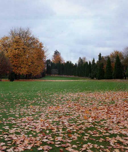 Eastmoreland #10: The fairway for hole #10 is narrow and lined with trees on both sides and two bunkers on the right. The two tiered green is elevated and surrounded by bunkers.