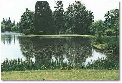 Eastmoreland #17: There is almost all water between tee and green on Eastmoreland's signature hole. The Crystal Springs Rhododendron Gardens are on the other side of a lake that lines the left and front of the green. Landing right will result in an uphill