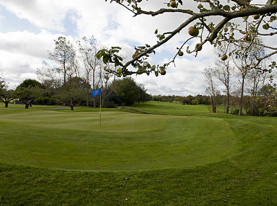 A view of the 12th hole at Beaverstown Golf Club