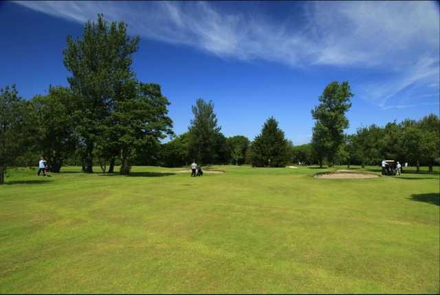 Fairway view on a sunny day