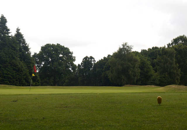 A view of a green at Leighton Buzzard Golf Club.