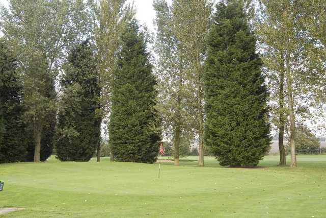 Tall trees protecting the green at Tilsworth Golf Centre