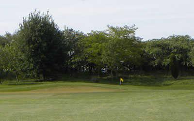 A view of the 2nd hole at High Legh Park Golf Club