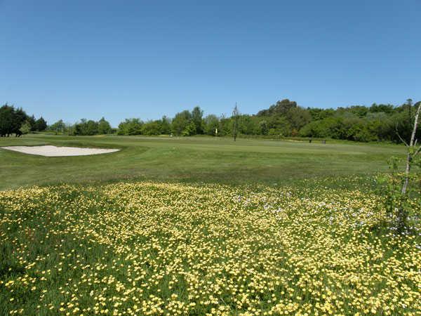 A view of the 5th green at Launceston Golf Club