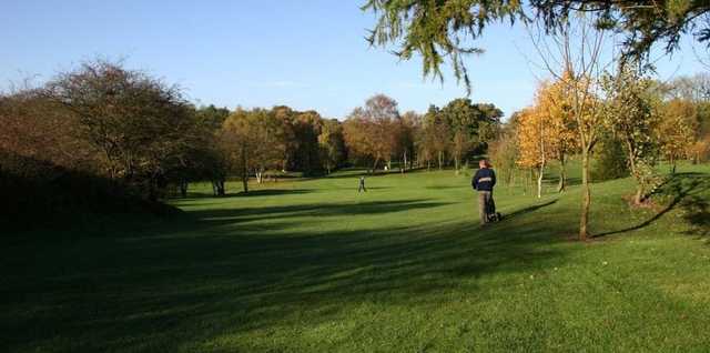 Stretching fairways at Alfreton Golf Club