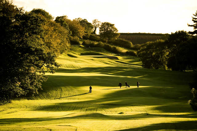 A sunny view of fairway at Breadsall Priory Golf & Country Club