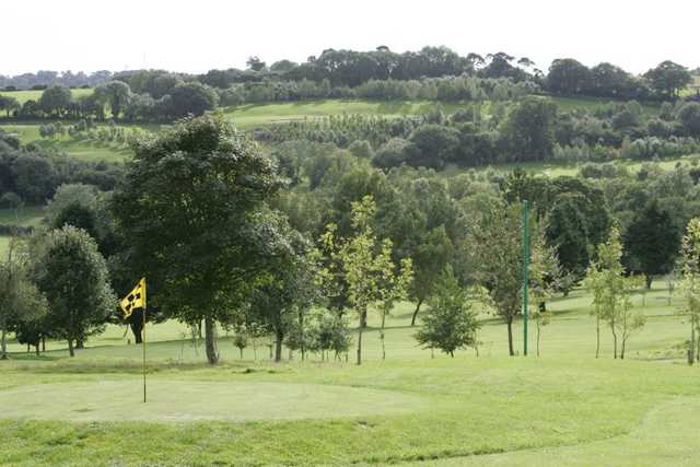 A view of green at Elfordleigh Hotel, Golf & Country Club