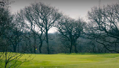 A view of green at Holsworthy Golf Club