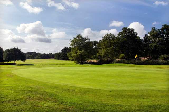 A view of green at Ferndown Forest Golf Club