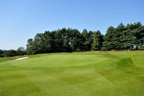 A view of the 3rd green at Knighton Heath Golf Club