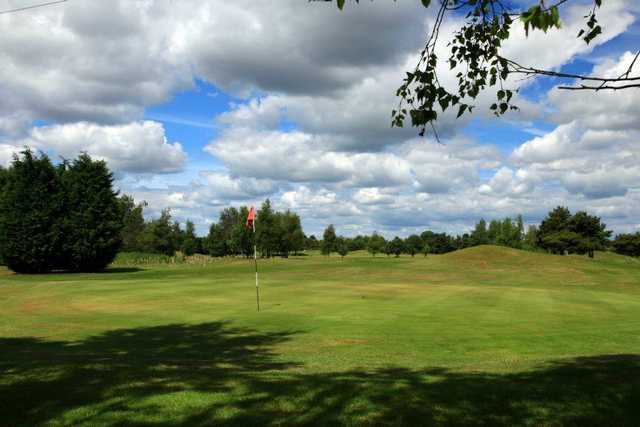 A view of green at Ganstead Park Golf Club