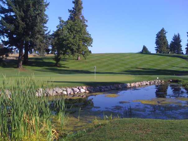 Indian Creek #2: Photo from the back of the green