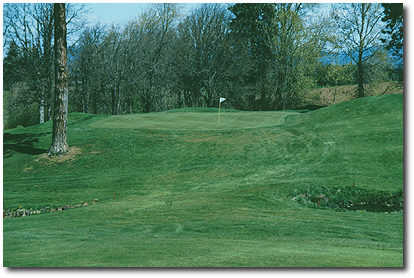 Indian Creek #3: Again, select your club carefully at the tee. The fairway is a sharp dogleg left that runs down and then up to the green. A small creek cuts across the fairway about 30 yards out and a tree guards the left