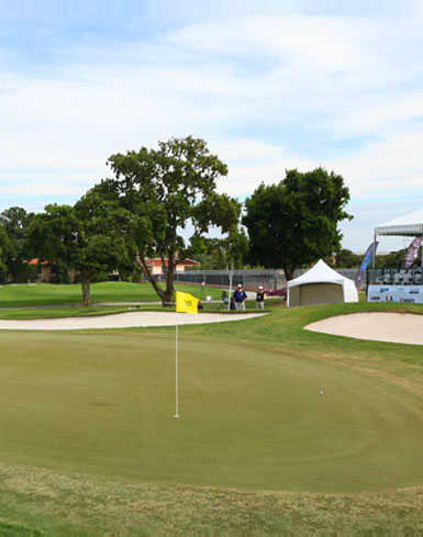 A view of a green at Miccosukee Golf & Country Club