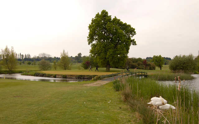 A view of the island green at Woolston Manor Golf & Country Club