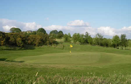 A view of green #6 at Harwood Golf Club